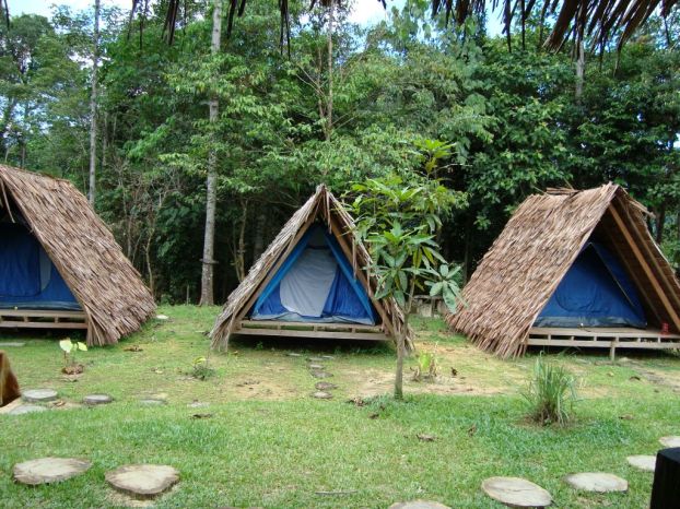 Restful JUngle Atap cabins